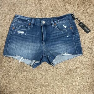 Blank NYC Distressed Blue Jean Shorts